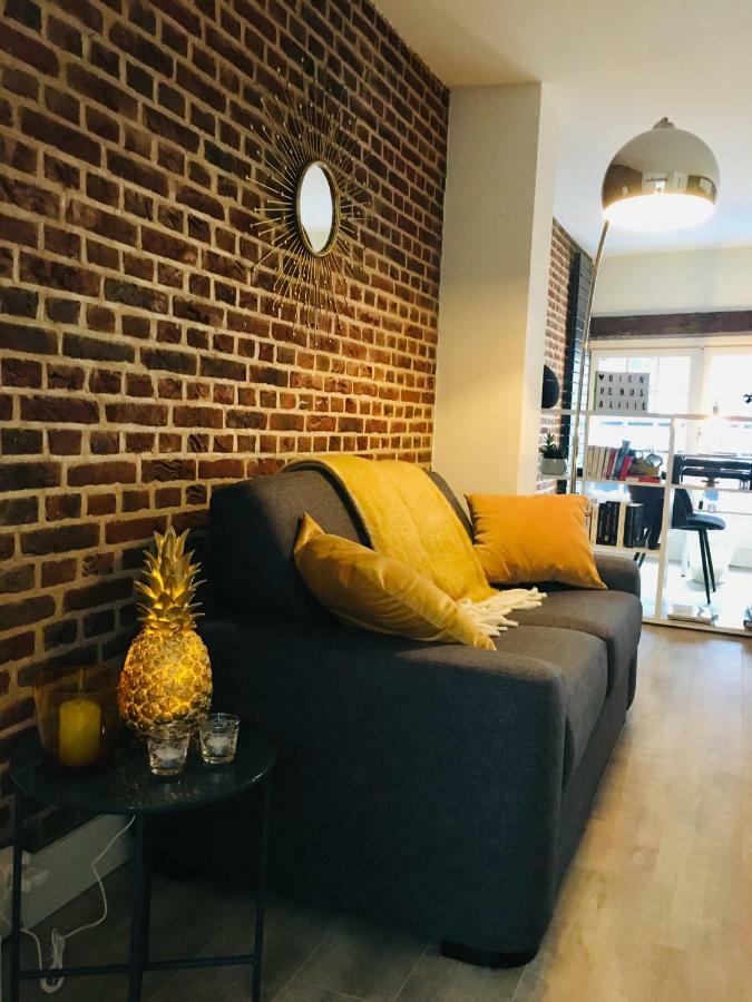 Appartement Heloise, Le Charme Du Vieux-Лилль Экстерьер фото